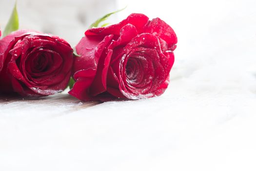 beautiful red color roses on wooden table