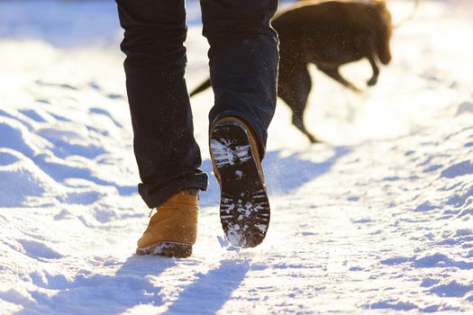 blurred leg of man and dog in winter
