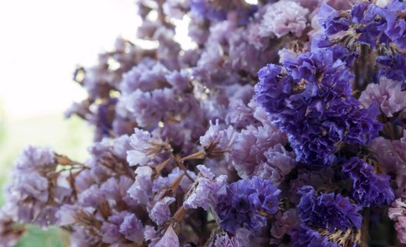 Closeup of dried purple flowers decorate in coffee shop