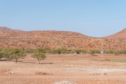 A farm landscape next to the C40-road, between Kamanjab and Palmwag, in the Kunene Region of Namibia