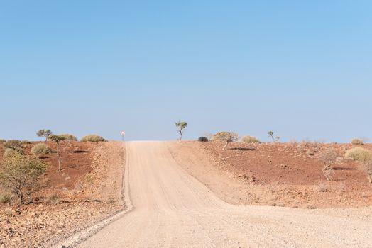 The rocky semi-desert landscape next to the C40-road, near to Palmwag, in the Kunene Region of Namibia