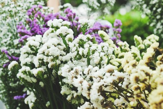 Bouquet of colorful flowers, Gypsophila