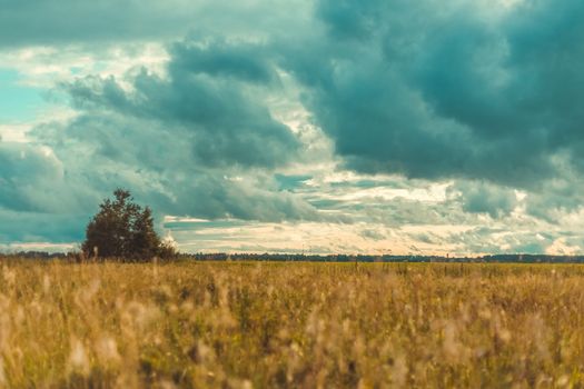 Storm dark clouds flying over field with green grass