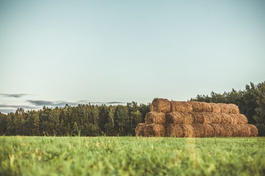 Bales of hay on a field with forest in the background