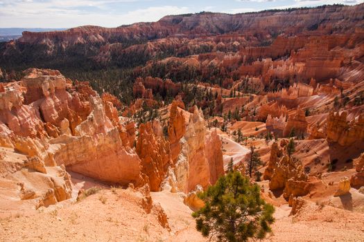 View over Bryce Canyon National Park Utah from the Rim Trail,