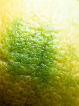 lemon close up texture macro detail background; England; UK