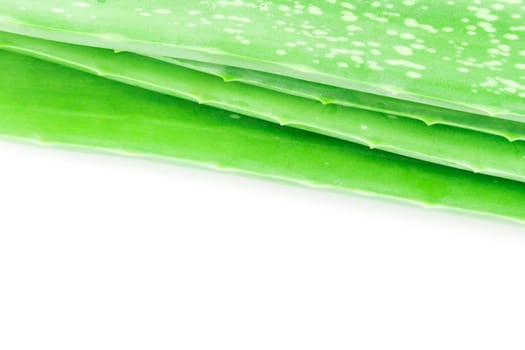 Closeup fresh aloe vera skin texture on white background, beauty and healthy care concept, selective focus