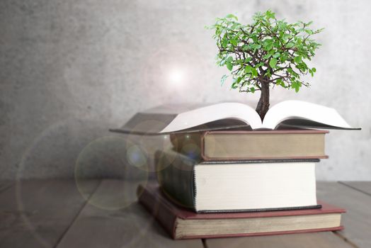 Tree growing from an open book 