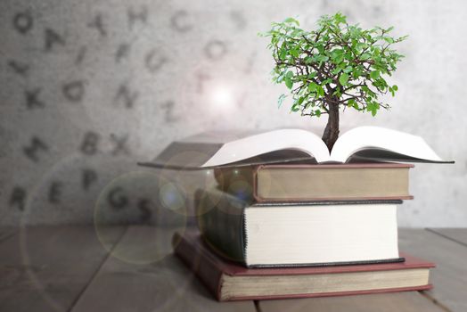 Tree growing from an open book with alphabet letters shadows on the wall