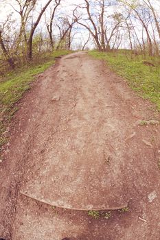 path through the green forest in the spring, note shallow depth of field