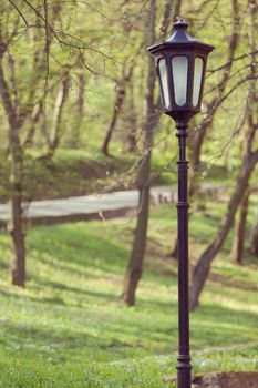 antique lamps in the park, note shallow depth of field