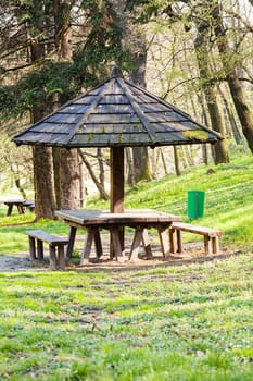 place for picnic in the woods, note shallow depth of field