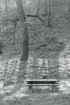 wooden bench and table for picnic  in the park, note shallow depth of field