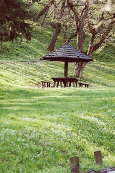 place for picnic in the woods, note shallow depth of field