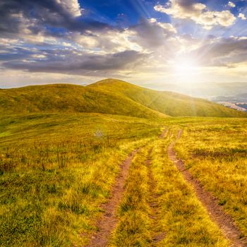 mountain landscape. curve path through the meadow on hillside in evening light