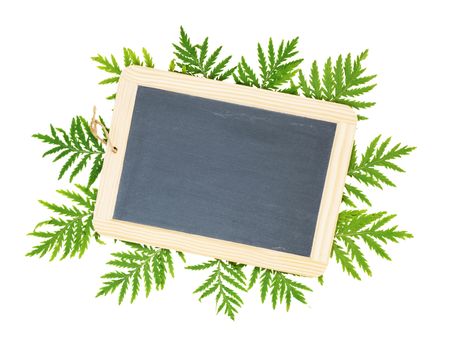 Flat lay composition consisting of a blank blackboard for notes, surrounded by green leaves, isolated on white background; top view, overhead view