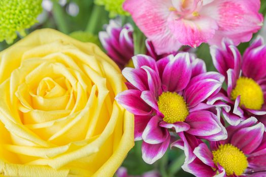 Bouquet of different flowers (yellow rose and maroon chrysanthemum) close up