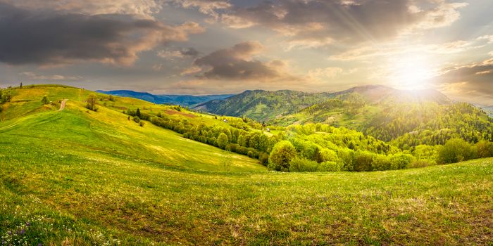 Idyllic view of pretty farmland rolling hills. Rural landscape near the forest in mountains in evening light