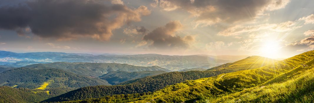 panoramic summer landscape with hillside meadow in Carpathian mountains in evening light