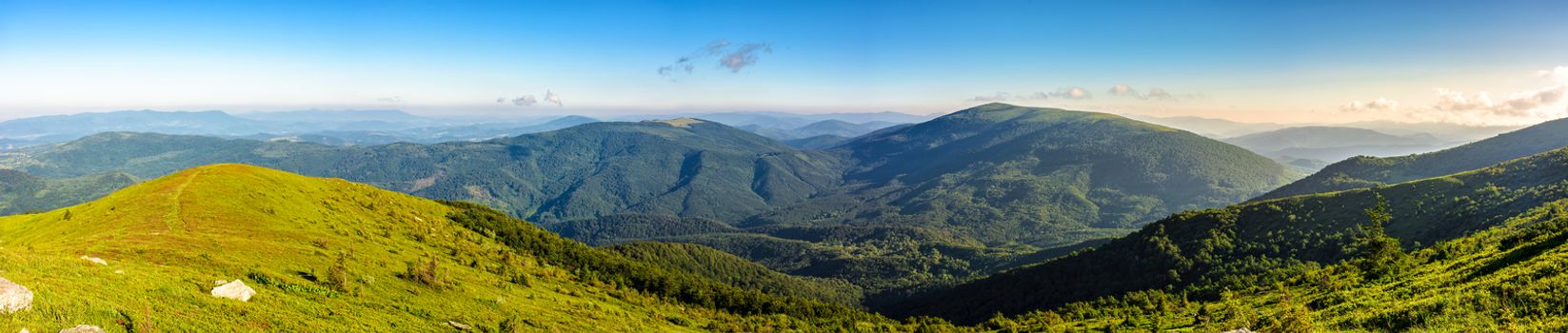 panoramic summer landscape with hillside meadow in mountains