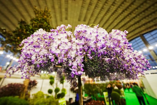 imaginative decoration with white and purple flowers, note shallow depth of field