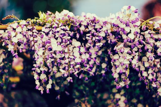 imaginative decoration with white and purple flowers, note shallow depth of field