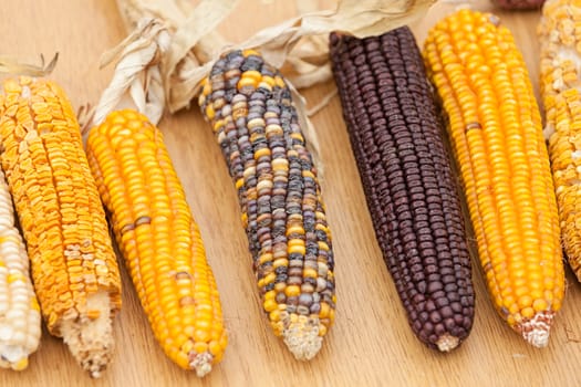 dried corn on the table, note shallow depth of field