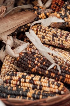 dried corn in a basket, note shallow depth of field