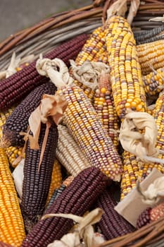 dried corn in a basket, note shallow depth of field