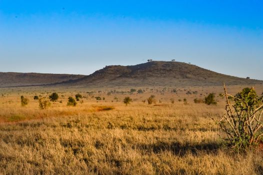 View of the Tsavo East savannah in Kenya with the mountains in the background