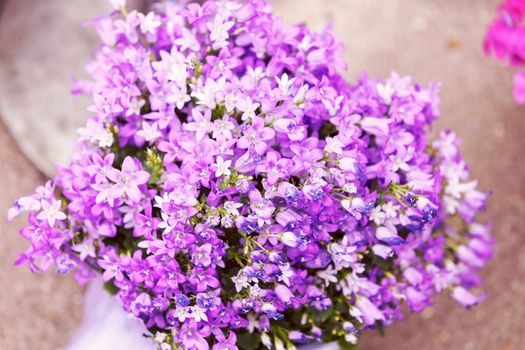 a bouquet of purple flowers, note shallow depth of field