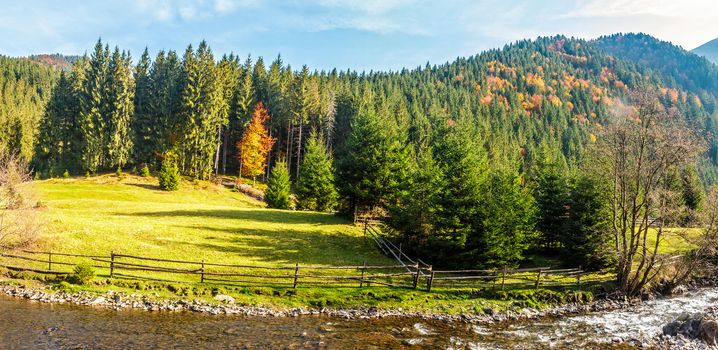 rural field on hillside with forest near the mountain river