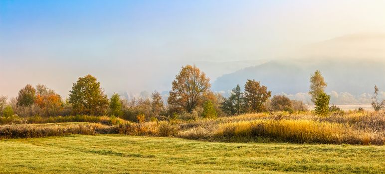 autumn landscape. yellow trees in fog on the meadow at sunrise