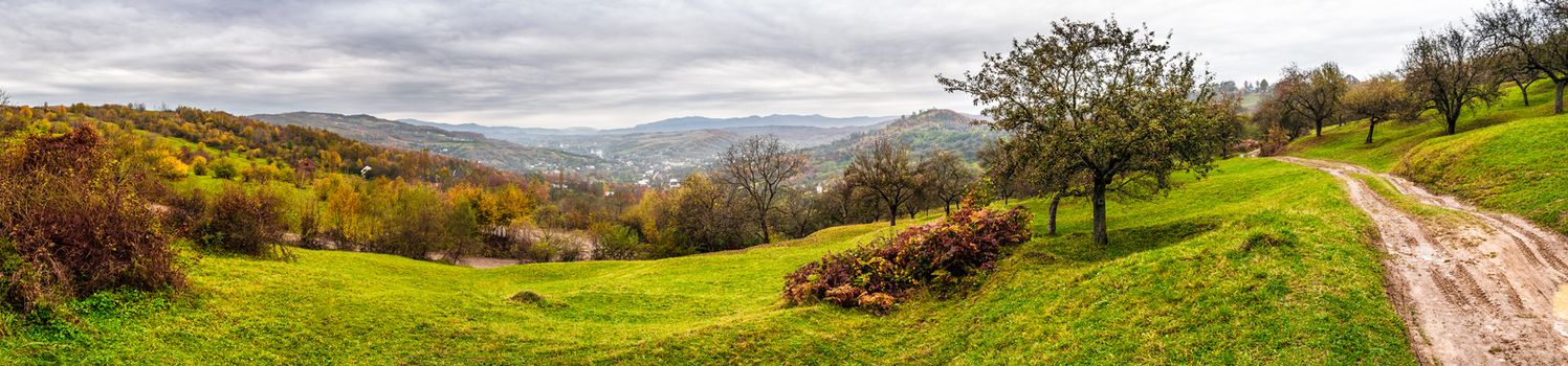 panorama of apple orchard and a wild rose bush on top of the mountain in late autumn cloudy day