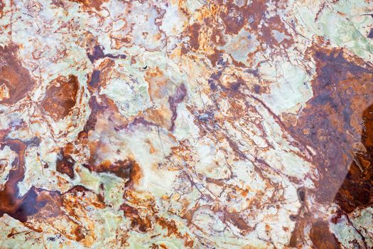 brown and white marble floor like a background, note shallow depth of field