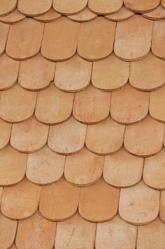 semi-circular roof tiles, note shallow depth of field