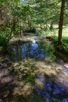 Crna spring in Logarska valley, Slovenia is a steady water stream in the woods and flows later as Savinja river