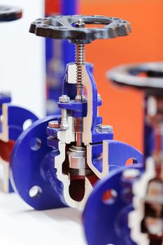 section of double eccentric control valve for machines , note shallow depth of field