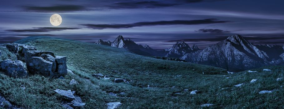 Hight Tatra mountain summer landscape. meadow with huge stones among the grass on top of the hillside near the peak of mountain range at night in full moon light