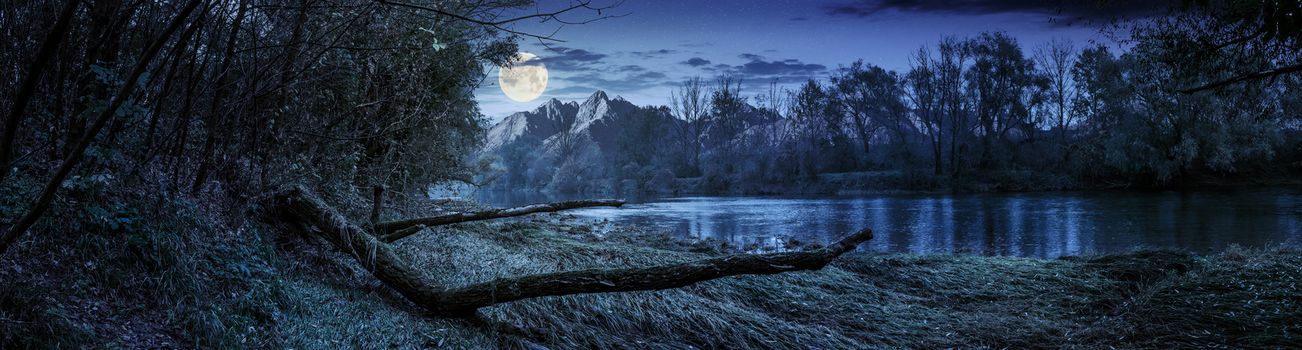 Composite landscape with river and falen tree on the shore in the forest in High Tatra Mountains at night in full moon light