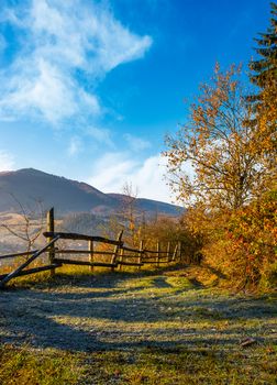 wooden fence near forest on hillside above the village valley. lovely autumnal countryside nature background in mountains at sunrise
