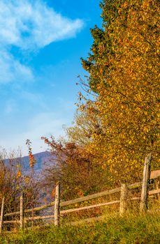 wooden fence near forest in mountains. lovely autumnal countryside nature background in the morning