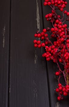 Little red treered viburnum branch on the wood floor