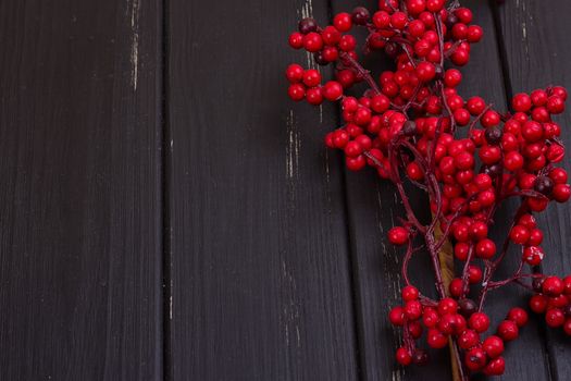 Little red treered viburnum branch on the wood floor