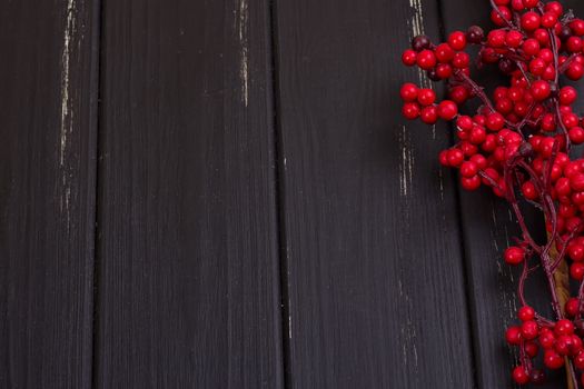 Little red treered viburnum branch on the wood floor