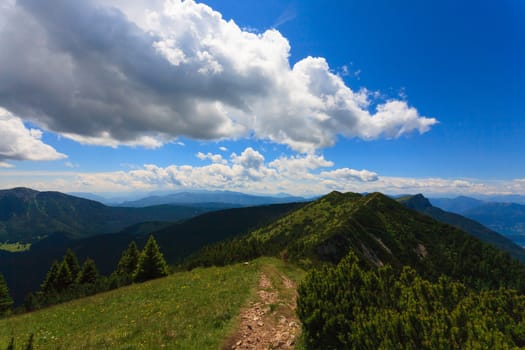 Panorama from Italian alps, mugo pines along a mountain trekking path