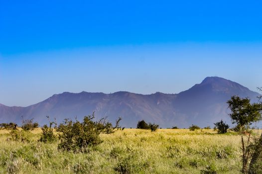 View of the Tsavo East savannah in Kenya with the mountains in the background