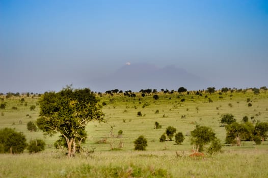 View of the Tsavo East savannah in Kenya with the mountains in the background