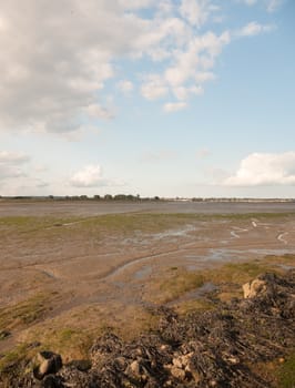 black water mudflats groove water tide out dock moored boats in distance;Essex; England; UK