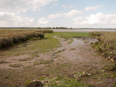 mud flat texture of earth landscape Maldon black water;Essex; England; UK